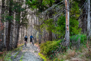 Zwei Personen mit Helmen und Rucksäcken fahren auf einem Kopfsteinpflasterweg durch den Wald, mit Bäumen und Pflanzen auf beiden Seiten.