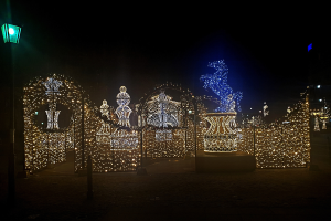 Eine nächtliche Parkszene mit Weihnachtslichtern in einem dekorativen Muster angeordnet, beleuchtet von einer Straßenlaterne links.