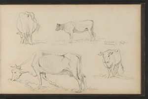 Drei Bleistiftstudien von Kühen, die in einer Reihe auf saftig grünem Gras unter einem hellblauen Himmel grasen.