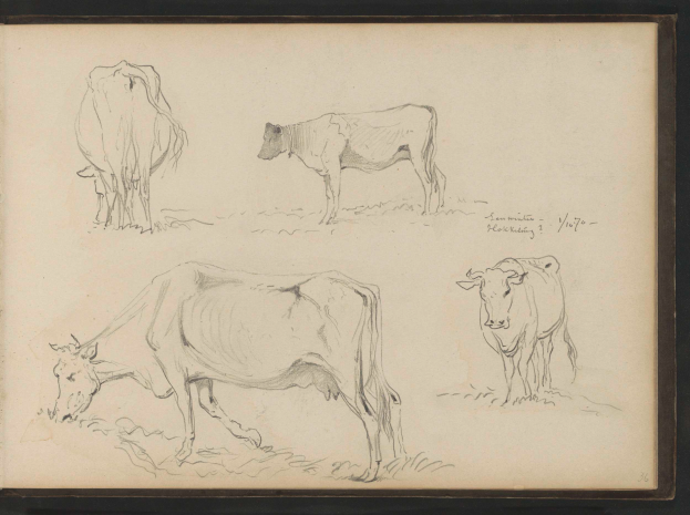 Drei Bleistiftstudien von Kühen, die in einer Reihe auf saftig grünem Gras unter einem hellblauen Himmel grasen.