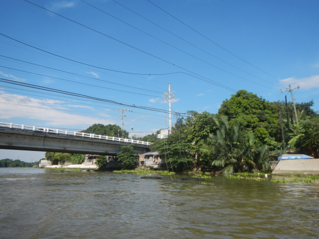 Eine Brücke überspannt einen Fluss mit Stromleitungen, die darüber verlaufen, flankiert von Bäumen und Gebäuden auf beiden Seiten, unter einem bewölkten Himmel.