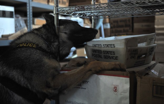 Ein schwarzer und brauner Polizeihund liegt auf einem Stapel Kisten in einem Lagerhaus, mit mehreren Kartonagen in den umliegenden Regalen sichtbar.