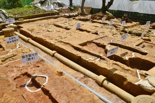 Großbaustelle mit Erde, Bäumen, Pflanzen, Gras, Zaun, Abdeckung, Wand, Schildern, Rohren und anderen verstreuten Gegenständen.