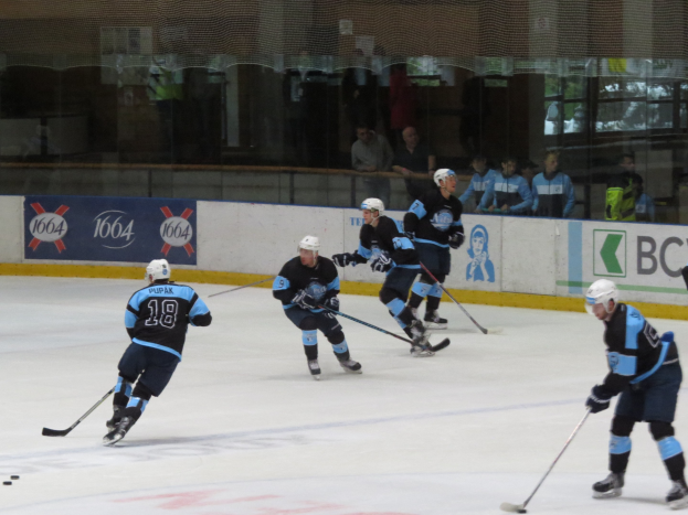 Gruppe von Menschen in Sportbekleidung beim Eishockey auf einem Eisplatz, jeder hält einen Hockeystock, mit Zuschauern im Hintergrund durch Glaswände sichtbar.