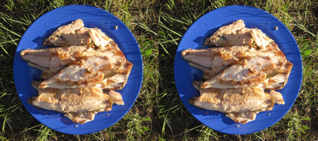 Ein Collage aus verschiedenen Fleischsorten, die auf Tellern angeordnet sind.