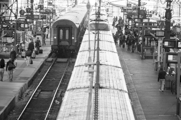 Ein belebter Bahnsteig mit mehreren Zügen auf den Gleisen und vielen Menschen darauf.