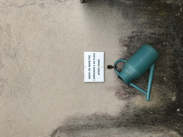 Ein grüner Gießkann auf einem Zementboden neben einem Papier mit Anweisungen zum Entfernen von schwarzem Schimmel.