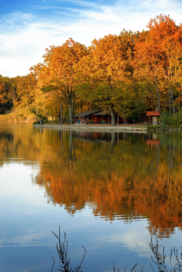 Ein friedlicher See umgeben von Bäumen mit leuchtenden Herbstlaub, der die Szene und den Himmel spiegelt, mit entfernten Häusern im Hintergrund.
