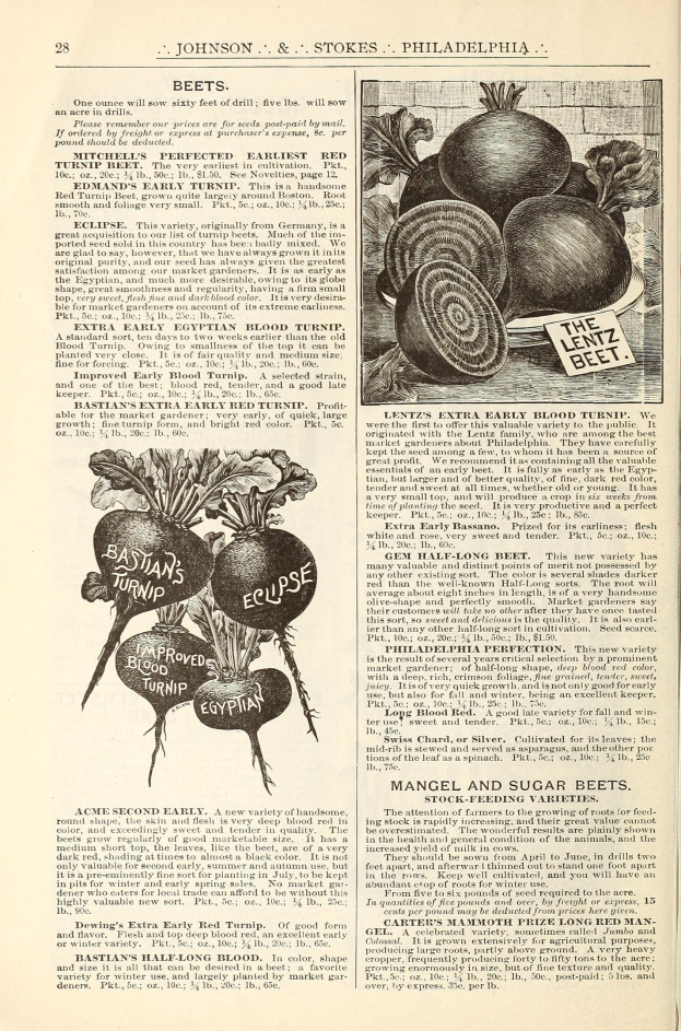 Offenes Buch mit Bildern und Text über Gemüse, einschließlich Rüben, die auf den Seiten angezeigt werden.