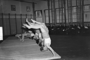 Eine Gruppe von Menschen f├╝hrt Akrobatik auf einer B├╝hne vor einem sitzenden Publikum auf, mit Foto-Rahmen, Fenstern und Leitern im Hintergrund, dargestellt in Schwarz-Wei├č.