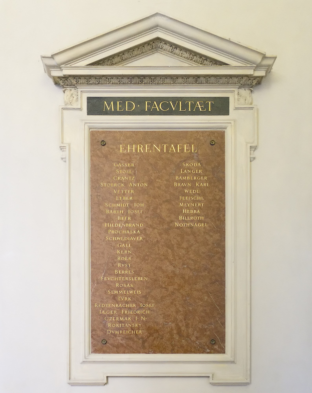 Rechteckige weiße Plakette mit schwarzer fettgedruckter Schrift "Med Facilitat" in der Mitte auf einer Gebäudewand.