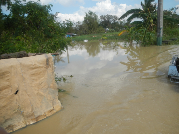 Eine überflutete Straße mit einem Auto in tiefem Wasser geparkt, ein weiteres Fahrzeug teilweise auf der rechten Seite versenkt und ein unscharfes Objekt auf der linken Seite, umgeben von Bäumen, Pflanzen, Gras und einem Pfahl unter einem bewölkten Himmel.