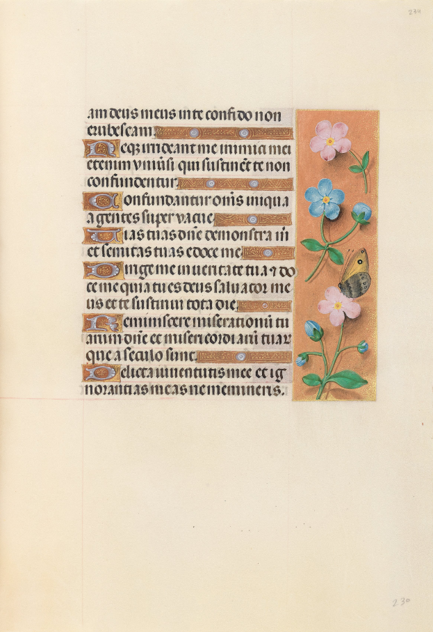 Ein aufgeschlagenes Buch, das eine mittelalterliche Manuskriptseite mit einer Blumenmalerei zeigt.