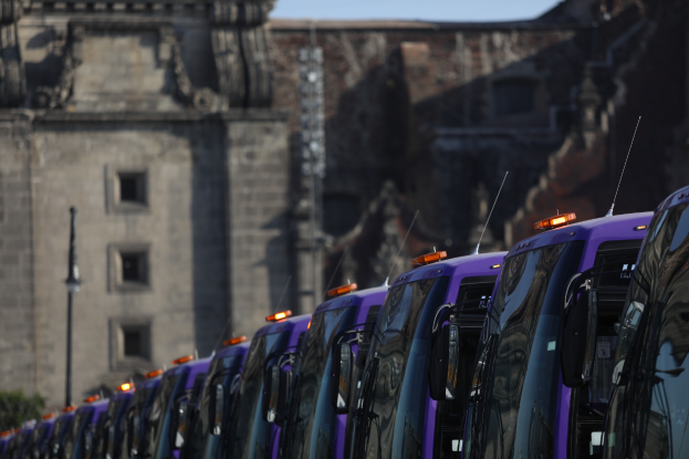 Eine Reihe lila Busse vor einem alten Gebäude geparkt, mit Bäumen und einem Pfahl im Vordergrund und einem klaren blauen Himmel im Hintergrund.
