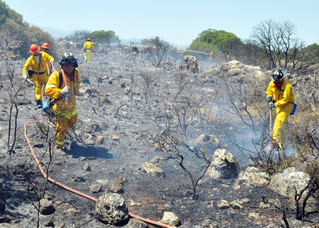 Feuerwehrleute in gelben Uniformen und Helmen gehen durch eine verbrannte Fläche mit Bäumen, Felsen und einem Rohr im Vordergrund unter einem klaren Himmel.