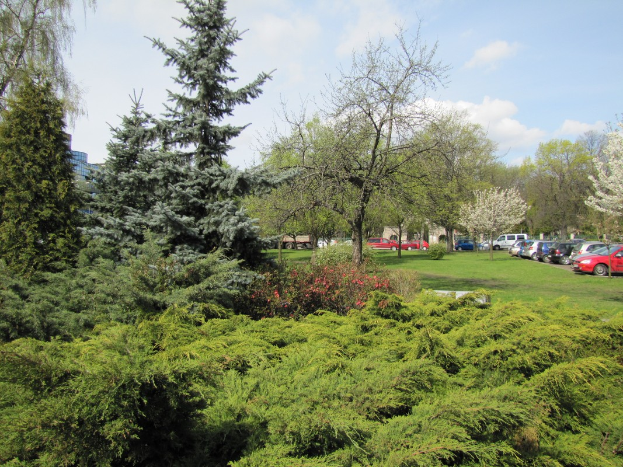 Ein Park mit verschiedenen Bäumen, Pflanzen, Gras und Blumen, ein Parkplatz mit Autos, Gebäude im Hintergrund und ein bewölkter Himmel.