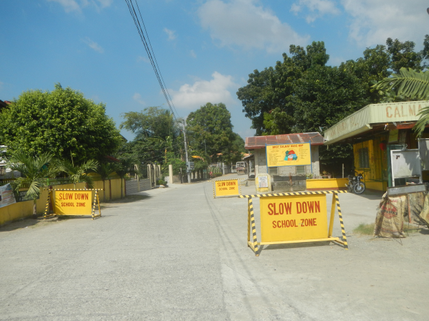 Eine Straße mit einem gelben "Slow Down School Zone"-Schild, parkende Fahrzeuge auf der rechten Seite und im Hintergrund Bäume, Gebäude, Pfosten, Drähte und Himmel.