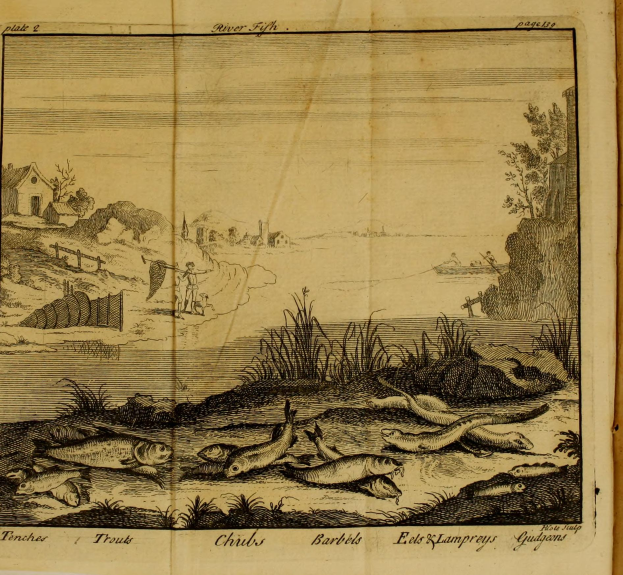 Ein aufgeschlagenes Buch mit einer Zeichnung einer Flussszene mit Fischen, Pflanzen, Bäumen, Häusern und anderen Gegenständen, mit Text unten.