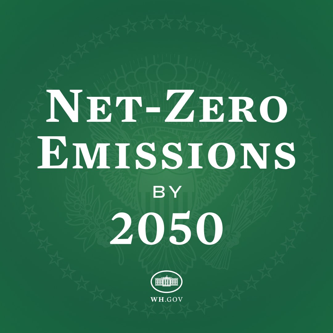 Weißer fetter Text "net-zero emissions by 2050" auf einem festen grünen Hintergrund.