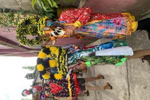 Eine Gruppe von Menschen in farbenfrohen Kostümen steht vor einem Gebäude und hält verschiedene Gegenstände, mit Bäumen, Gebäuden und einem klaren blauen Himmel im Hintergrund während eines Karnevalsumzugs.